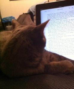Kitten-assisted reading.
